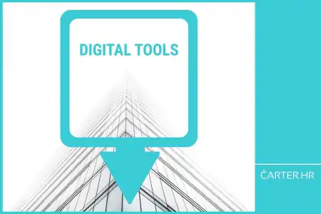 Less stress, more bookings – digital tools that save the season