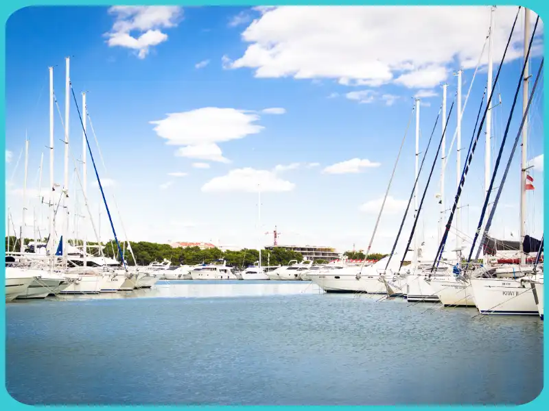 sailing boats